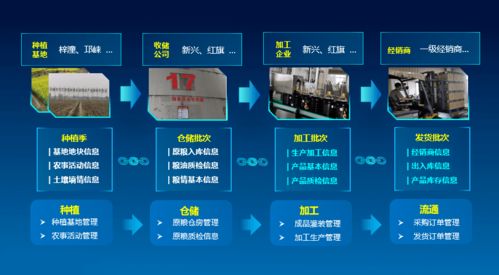 科技賦能，守護“天府糧倉”——川糧集團以全產業鏈云碼溯源引領糧油質量安全新標桿