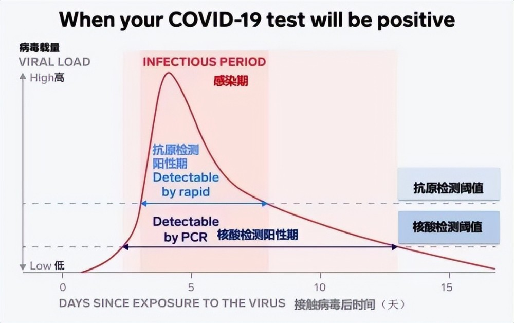 新冠陽了后，抗原需要天天做嗎？一看你就明白